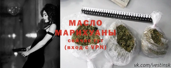 индика Вязьма