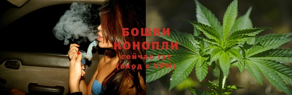 скорость Вяземский