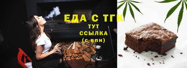 индика Вязьма