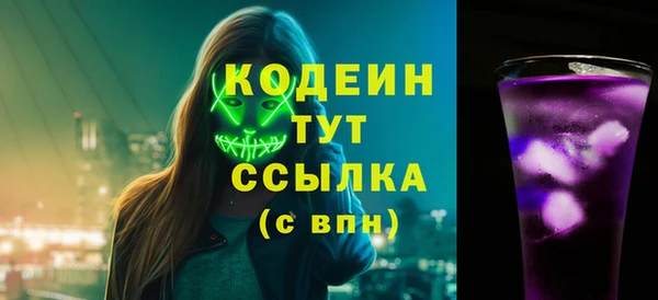 индика Вязьма