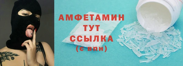 индика Вязьма