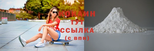 индика Вязьма