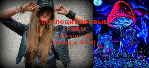 скорость Вяземский