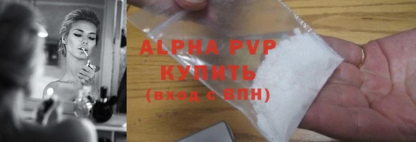 индика Вязьма