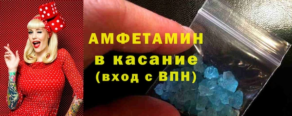 индика Вязьма