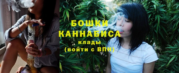 шишки Вязники