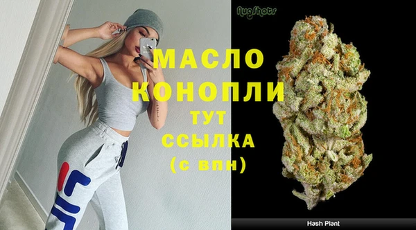 индика Вязьма