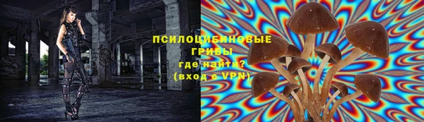 скорость Вяземский