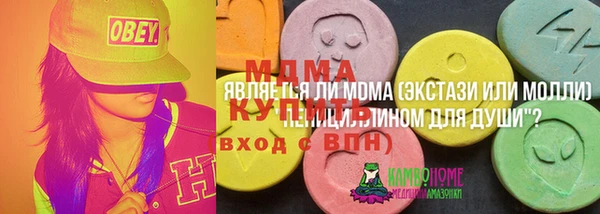 индика Вязьма