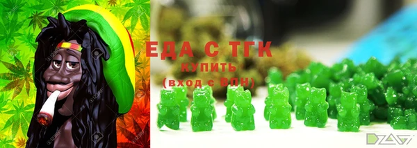 индика Вязьма