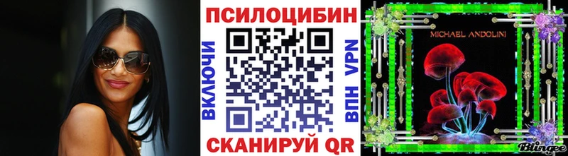 Галлюциногенные грибы Psilocybe  Купить где  Лыткарино 